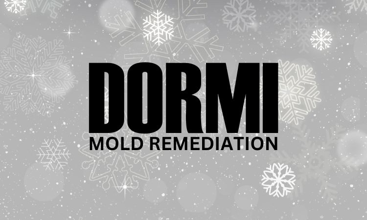 Dormi Mold Remediation - Mold services